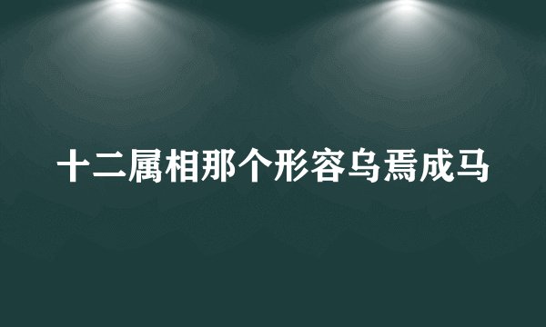 十二属相那个形容乌焉成马