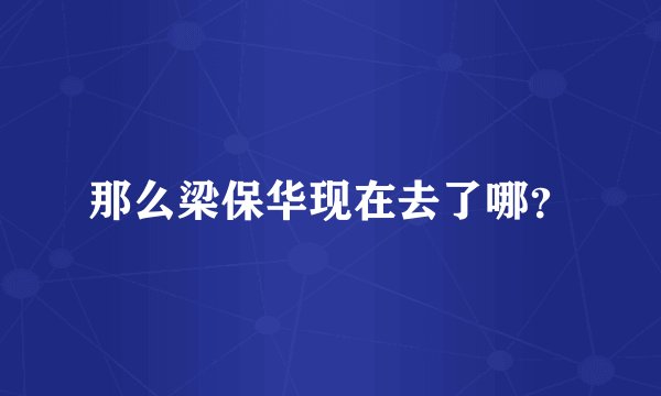 那么梁保华现在去了哪？