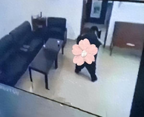 干部不雅视频后续：妇女主任病倒了，如今的她众叛亲离，太可怜了