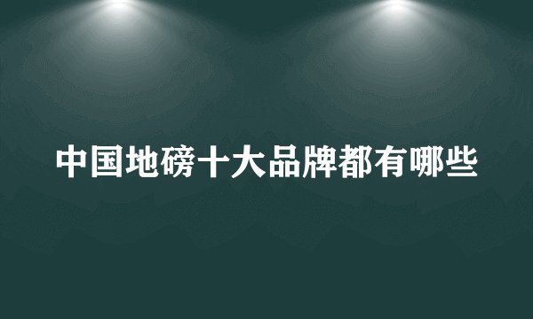 中国地磅十大品牌都有哪些