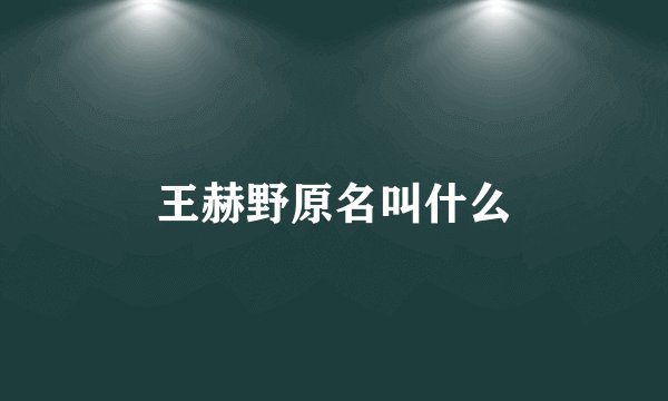 王赫野原名叫什么
