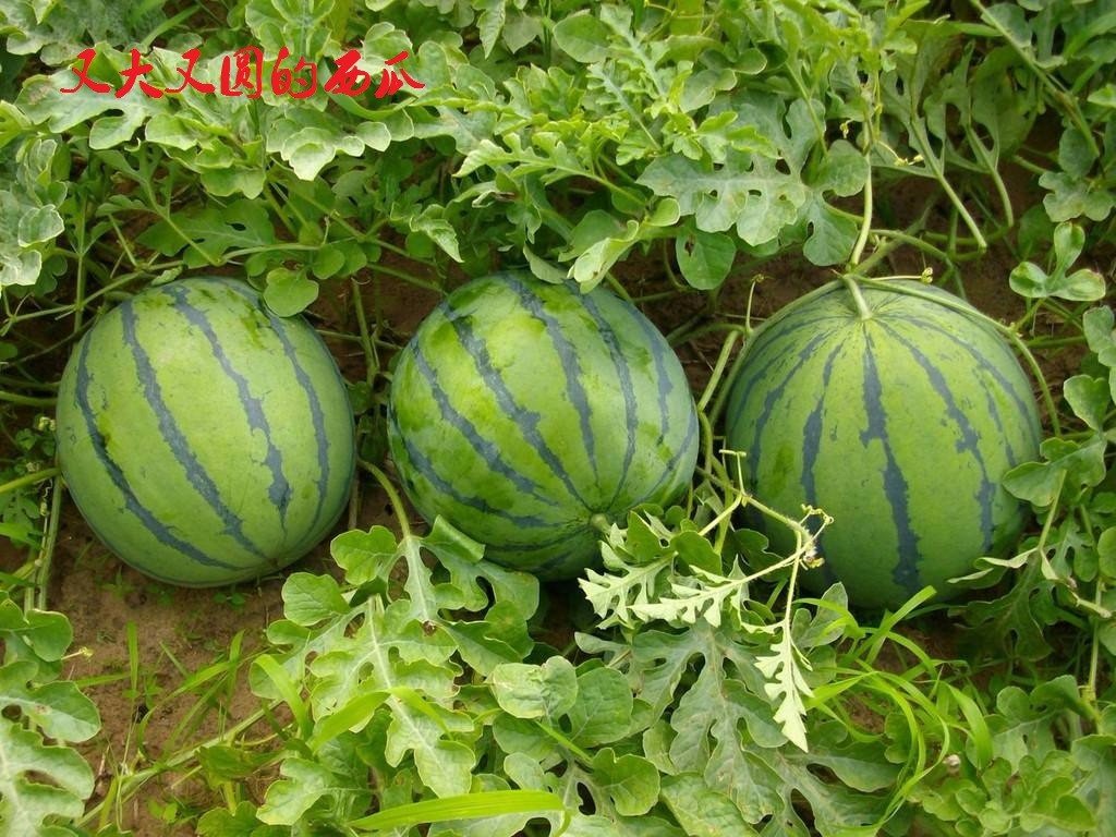 暖又轻照样子写词语