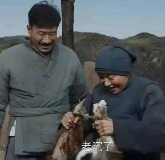 归队大结局谁活下来了