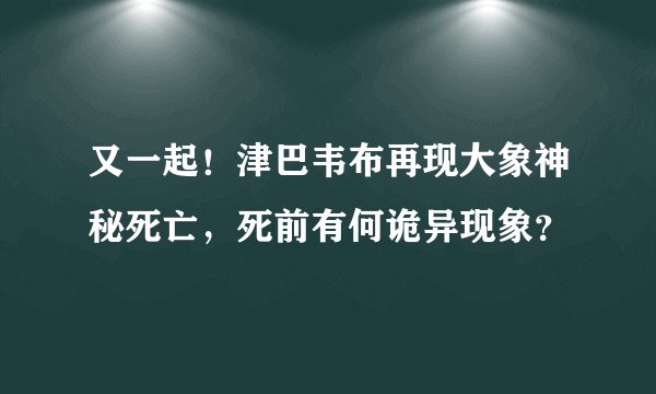 又一起！津巴韦布再现大象神秘死亡，死前有何诡异现象？