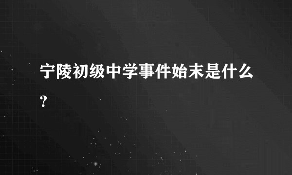 宁陵初级中学事件始末是什么？