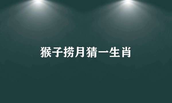 猴子捞月猜一生肖