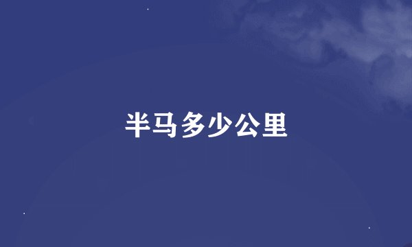半马多少公里