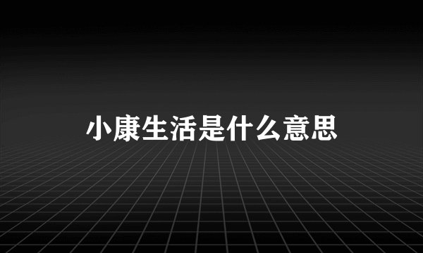 小康生活是什么意思
