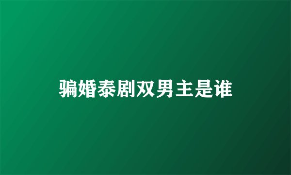 骗婚泰剧双男主是谁