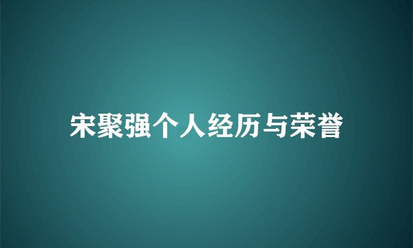 宋聚强个人经历与荣誉