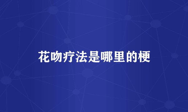 花吻疗法是哪里的梗