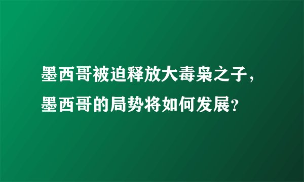墨西哥被迫释放大毒枭之子，墨西哥的局势将如何发展？
