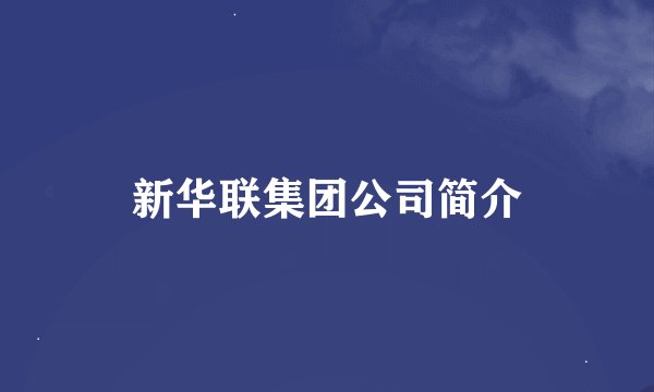新华联集团公司简介