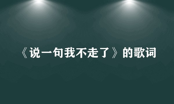 《说一句我不走了》的歌词