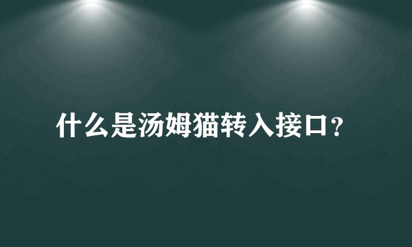 什么是汤姆猫转入接口？
