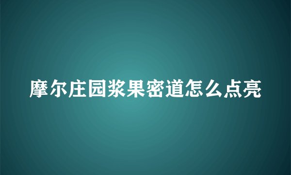 摩尔庄园浆果密道怎么点亮