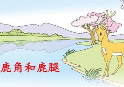 你想对《鹿角和鹿腿》一文中的鹿角和鹿腿分别说些什么