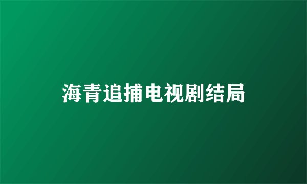 海青追捕电视剧结局