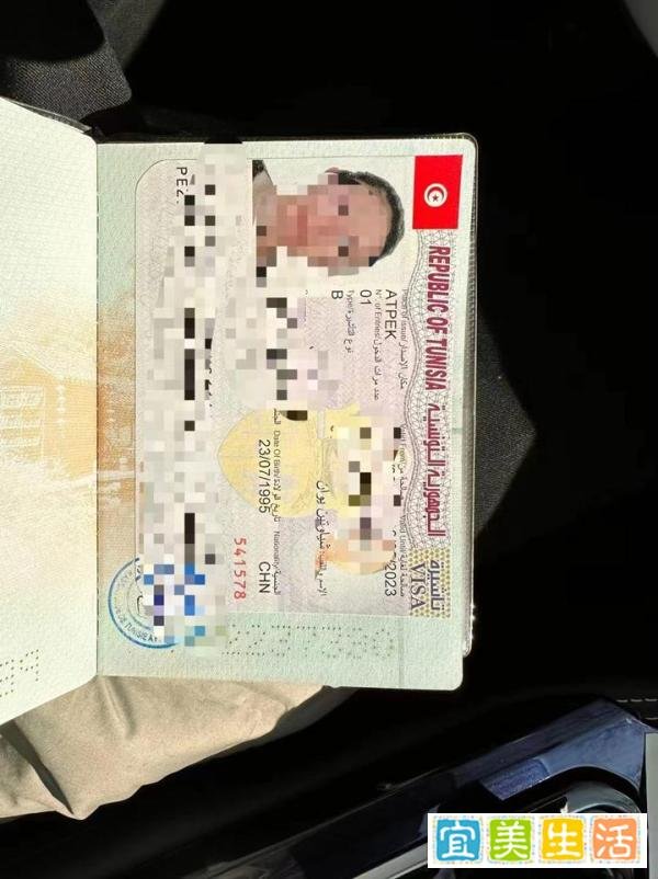 最新突尼斯签证办理攻略分享