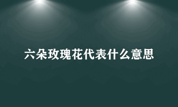 六朵玫瑰花代表什么意思