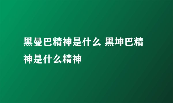 黑曼巴精神是什么 黑坤巴精神是什么精神