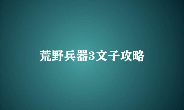荒野兵器3文子攻略