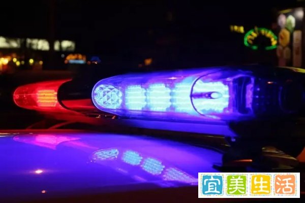 凉凉！麦子金服被查封，拓道金服与招财猫被立案