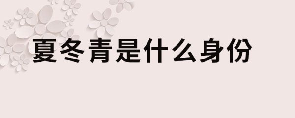 夏冬青是什么身份
