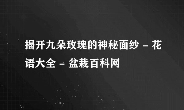 揭开九朵玫瑰的神秘面纱 - 花语大全 - 盆栽百科网