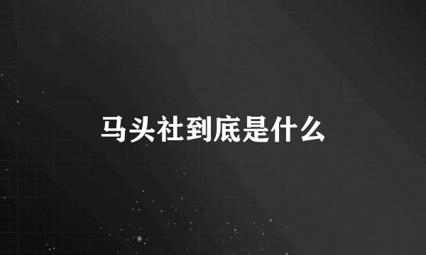 马头社到底是什么