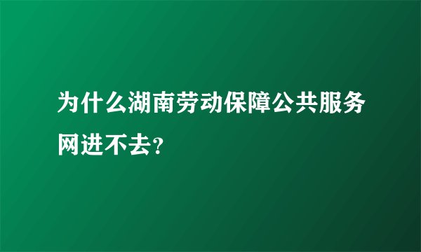 为什么湖南劳动保障公共服务网进不去？