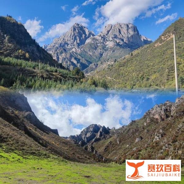 浅谈一下“山、医、命、相、卜”