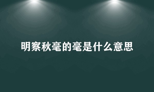 明察秋毫的毫是什么意思