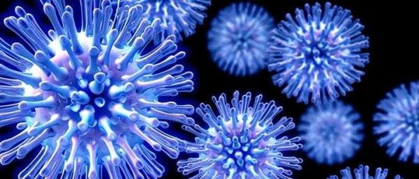 俄罗斯发现编号38的蚊子？现已被辟谣，但转基因蚊子是真实存在的