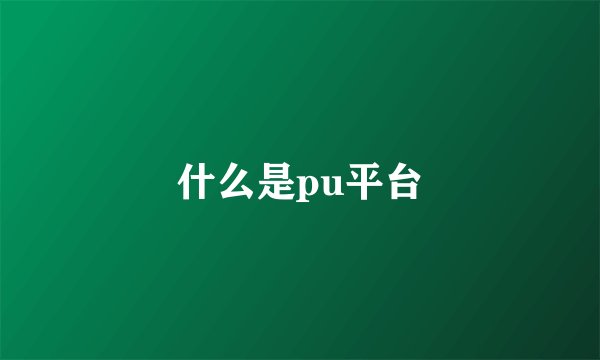 什么是pu平台