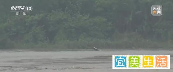 惊魂九江大桥：横跨17载，两起惨烈事故中的同一个主角