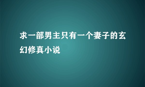 求一部男主只有一个妻子的玄幻修真小说