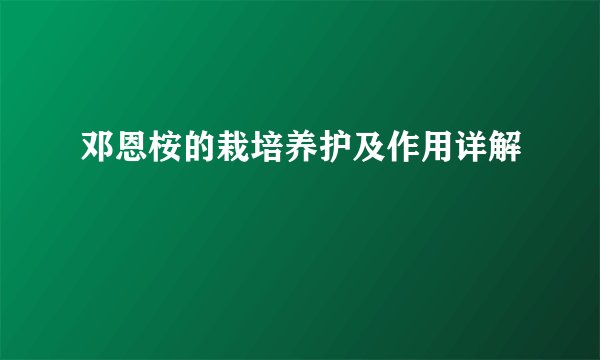 邓恩桉的栽培养护及作用详解
