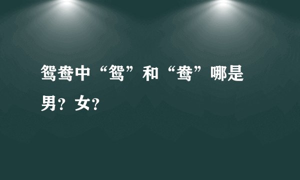 鸳鸯中“鸳”和“鸯”哪是 男？女？
