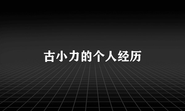 古小力的个人经历