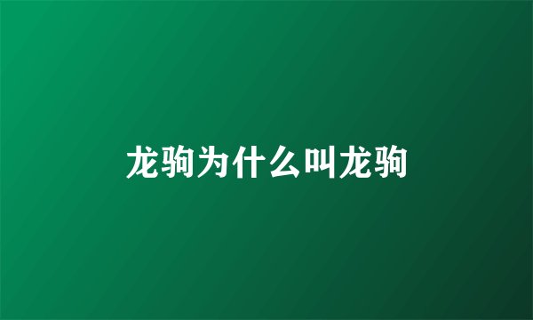 龙驹为什么叫龙驹