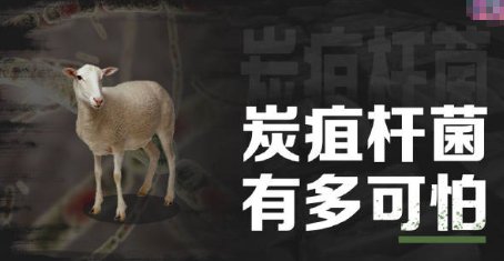 专家介绍山东滨州2例炭疽确诊病例详情，这两位病人是如何被感染的？