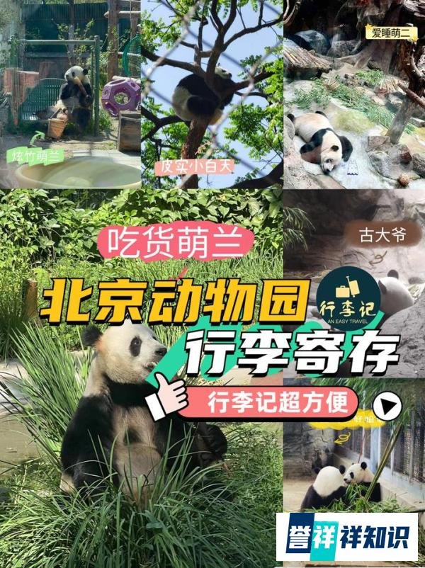 北京动物园行李寄存,真的方便,10元可以寄存一整天