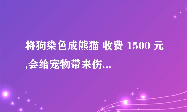 将狗染色成熊猫 收费 1500 元,会给宠物带来伤害吗? -