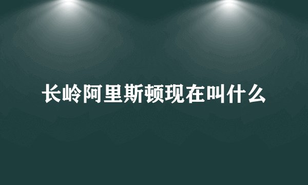 长岭阿里斯顿现在叫什么