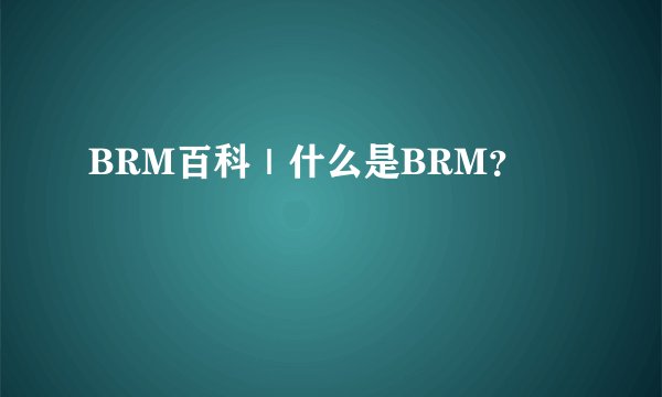 BRM百科｜什么是BRM？