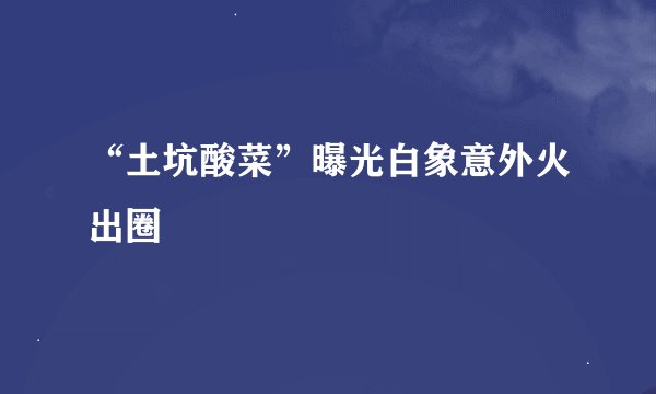 “土坑酸菜”曝光白象意外火出圈