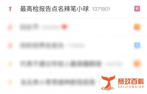 “辣笔小球”为何被最高检报告点名？回应来了