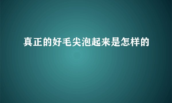 真正的好毛尖泡起来是怎样的