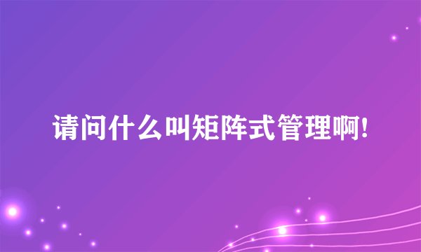 请问什么叫矩阵式管理啊!